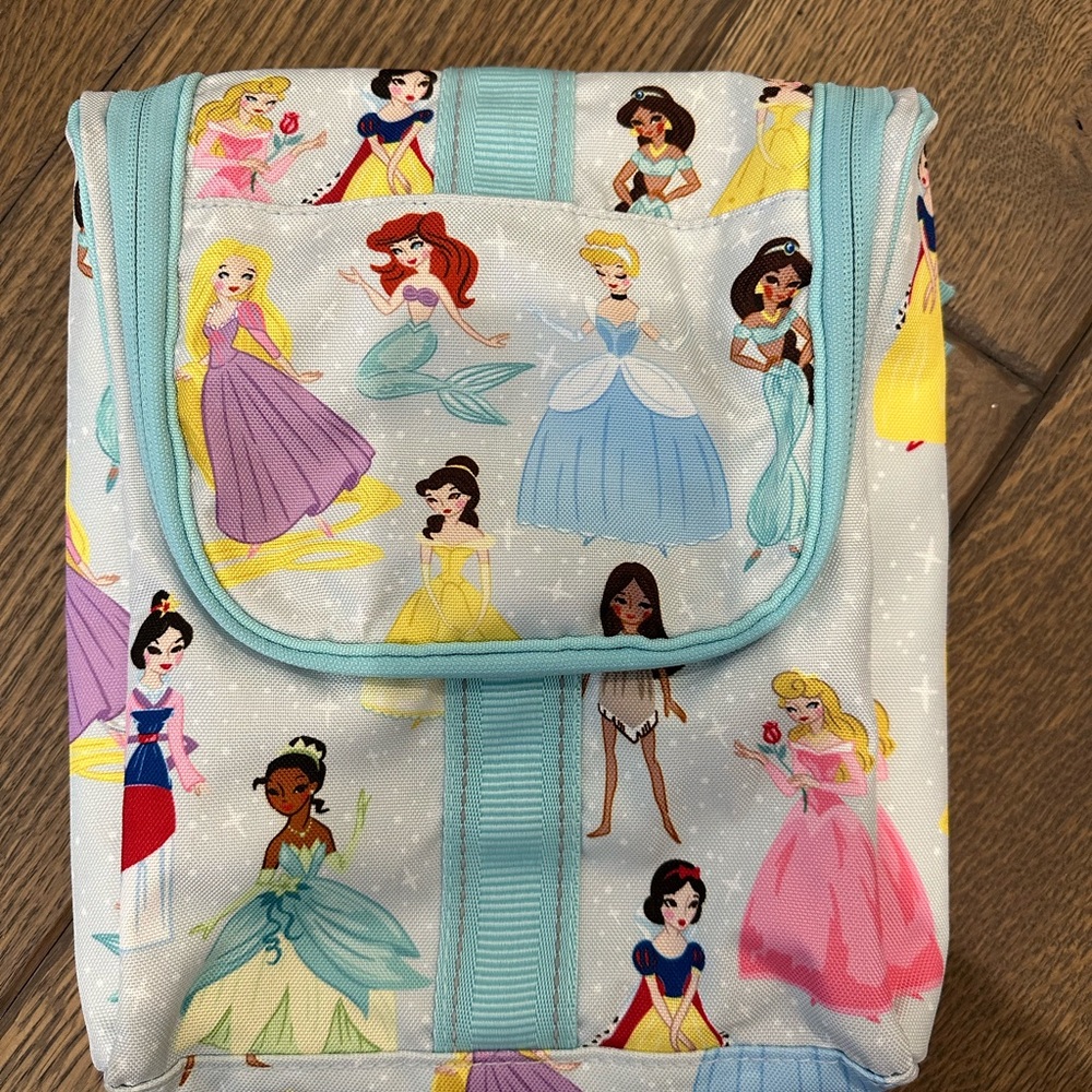 Pottery barn kids Disney Princess hanging toiletry bag. Good used condition.